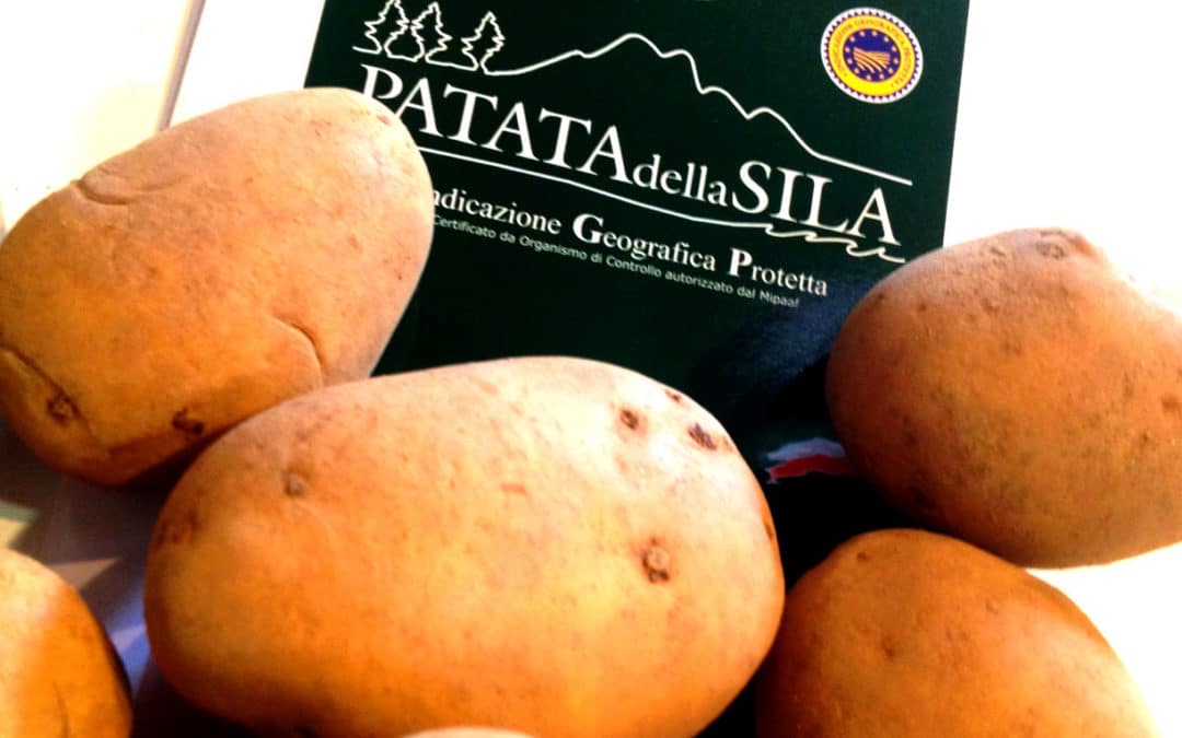 Patata della Sila fest