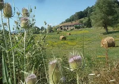 Festa regionale del canto a braccio