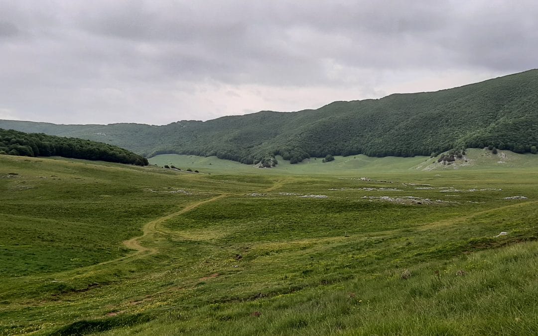 Altopiano del Voltigno